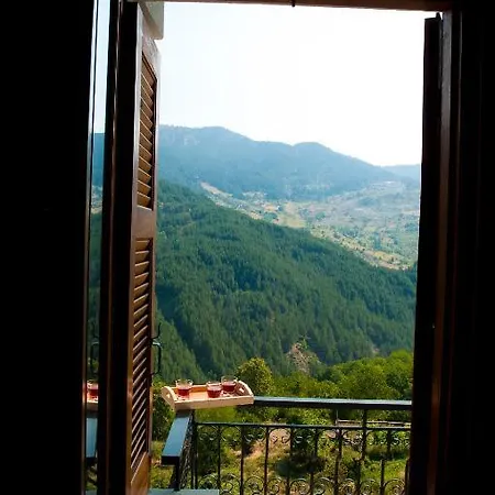 Oresivio Metsovo Room photo