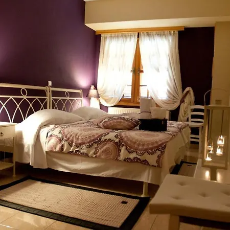 Oresivio Metsovo Room photo